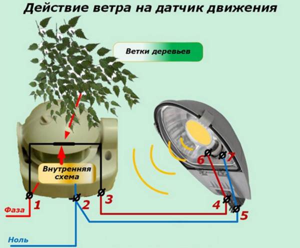 Действие ветра на датчик движения Не работает датчик движения